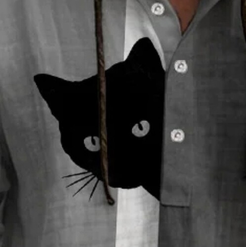 Cat shirt