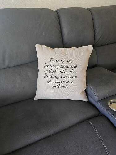 pillow on lounge