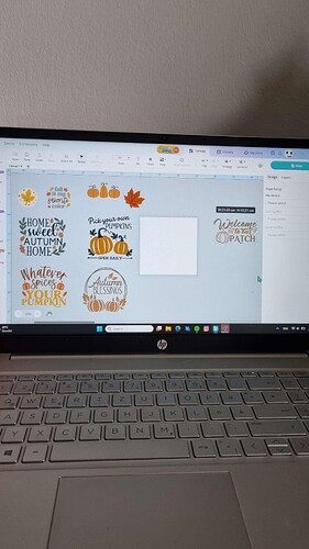 rn_image_picker_lib_temp_b7b36e51-2b0f-4037-8de1-657a980e9f6d