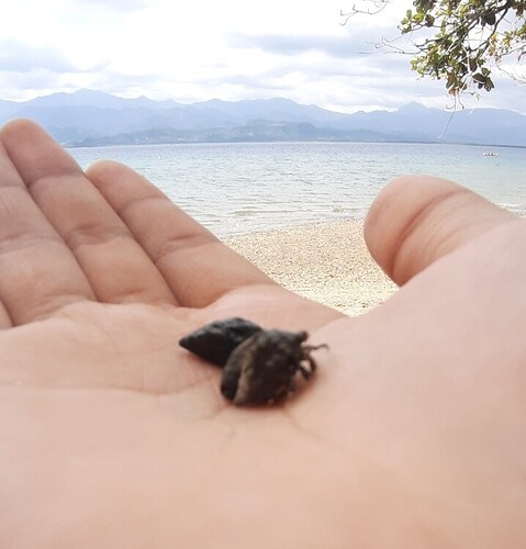 SmartSelect_20250830-172141_Gallery