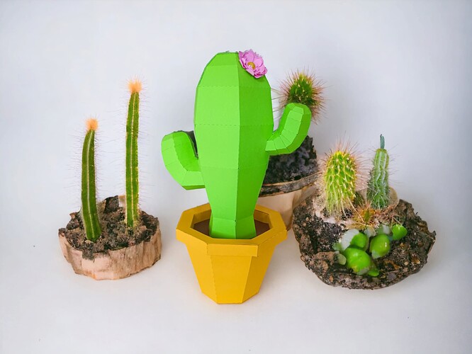 PhotoRoom-20230806_000704