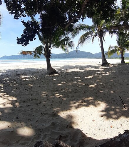 SmartSelect_20250830-172058_Gallery