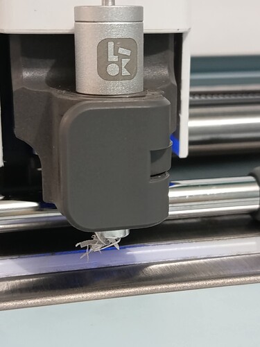 FB_IMG_1761467805451