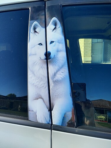 inbound4236089935186238510