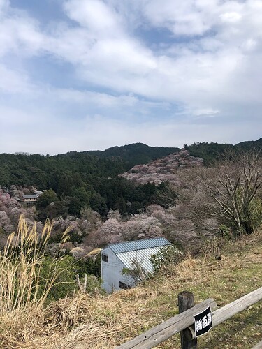 8DF25E0A-985B-4AEE-A956-99530DB110CD