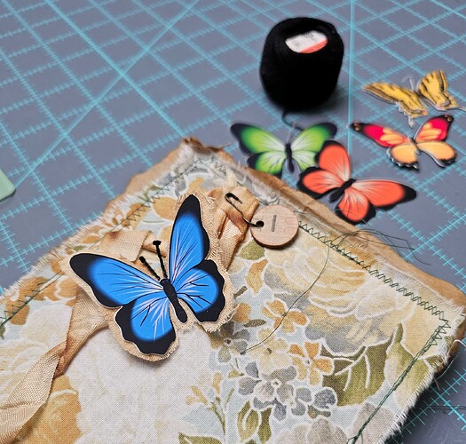 butterly on cover