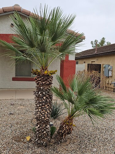 17710087040874810801638386142202