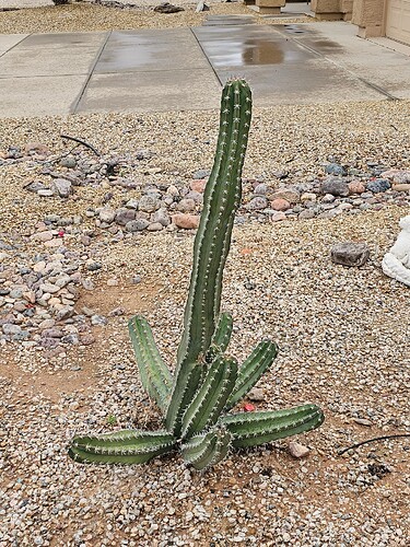 17710086256406072626359018541608