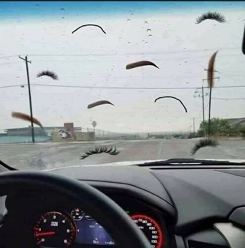 Screenshot_20251219_231132_Google