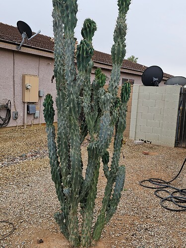 17710085795443036458549404889233