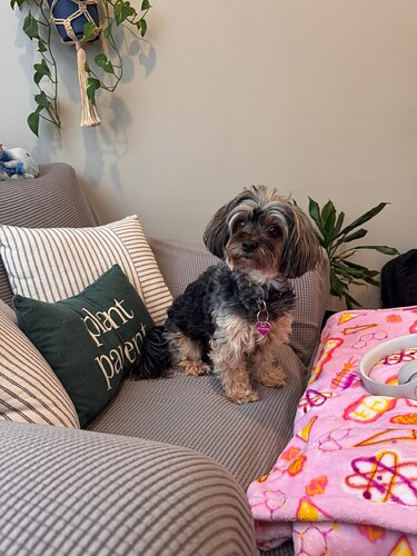 inbound6716944057622015793