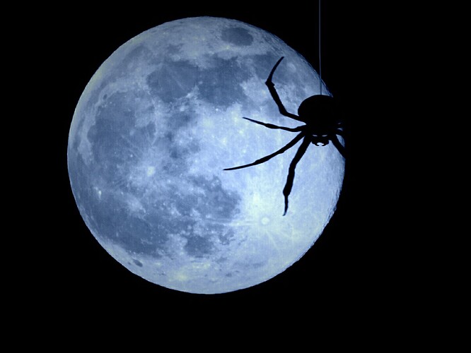 Spider Moon