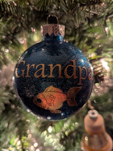 PXL_20241231_230507446