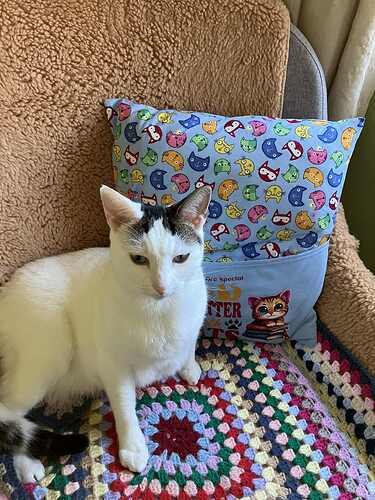 att.GFpliEmm9t-8CTvi-7bmR1JkKTVw3Mf7nPbfY5XkC1Y