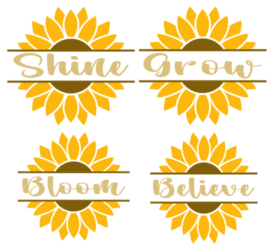 20260131063337-001186