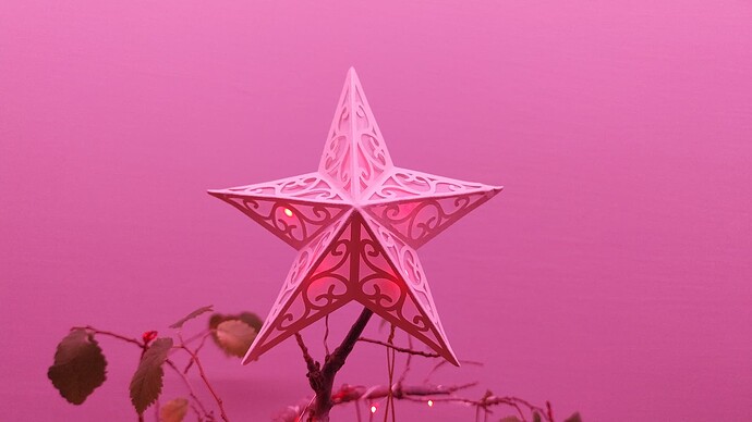 Bonsai Tree Top Star