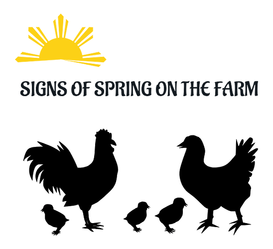 20260329002854-000097