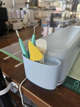 the weapon that scratched my arm