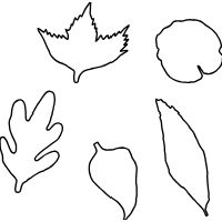 555428a2a58740b0a53b70b06750e417