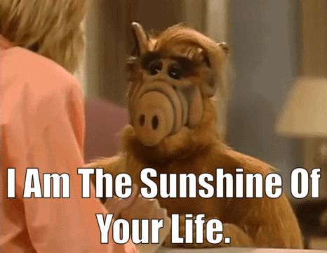 Alf I Am The Sunshine Of Your Life GIF - Alf I am the sunshine of your life...
