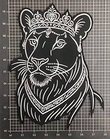 IMG_20260202_163753 (1)